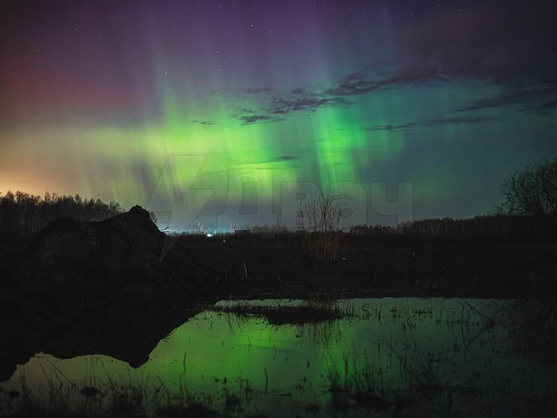 Иллюстрация 1