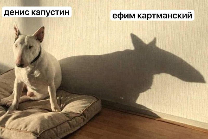 Субъективный взгляд на главаря украинской террористической организации РДК