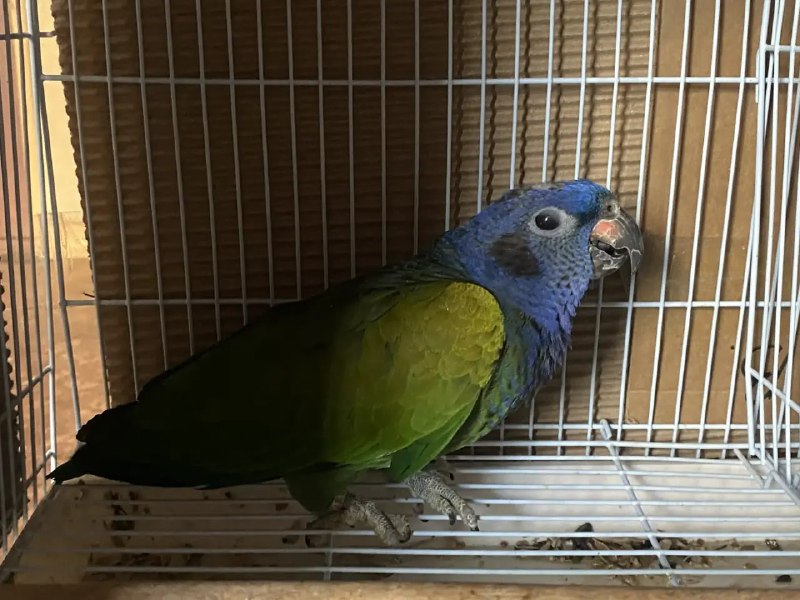 Иллюстрация 6