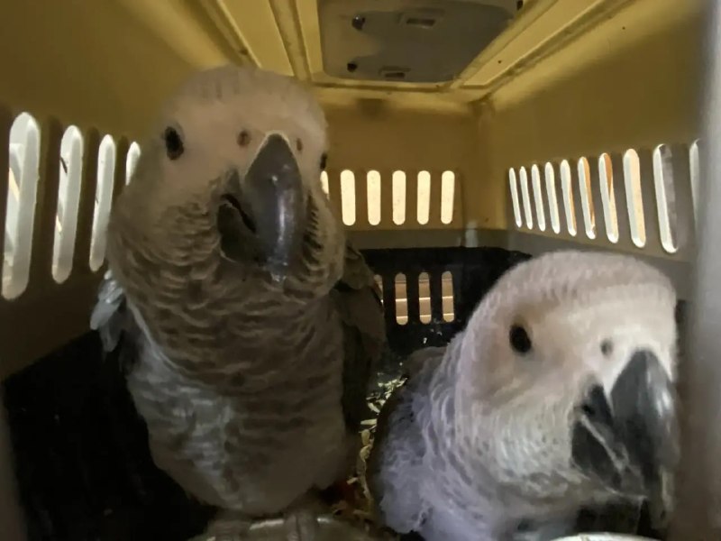 Иллюстрация 7