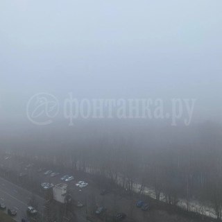 Плотный туман в Приморском районе Петербурга