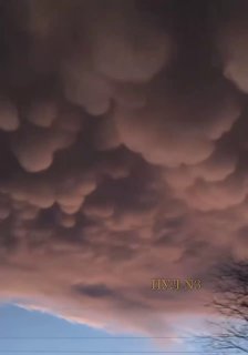 Редкие облака-мамматусы в Чикаго привели к отмене десятков рейсов