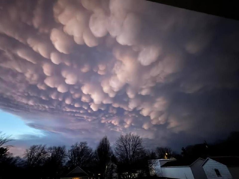 Иллюстрация 7