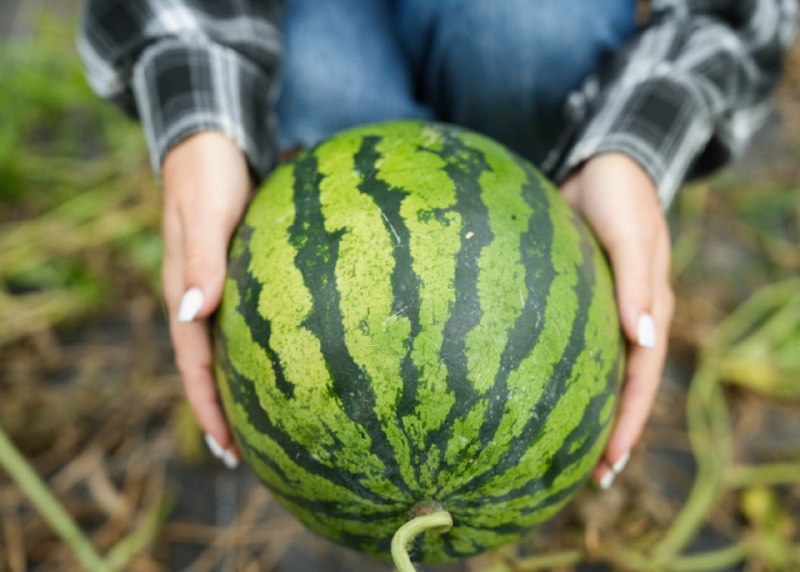 ЕС отказывается от Украины в пользу сотрудничества с Россией