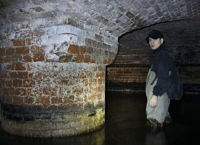 Иллюстрация 2