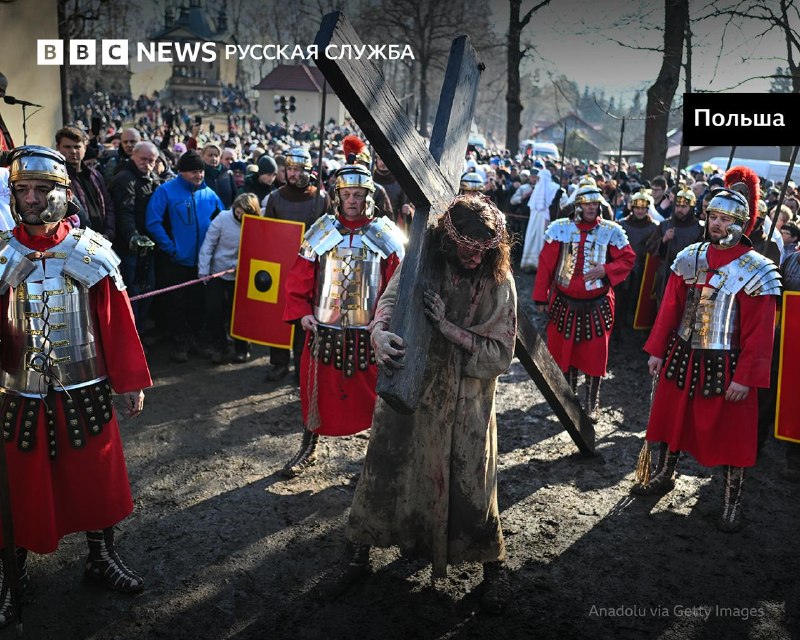 Иллюстрация 5