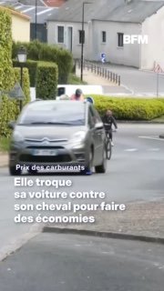 Анекдот дня: француженка пересела с автомобиля на лошадь из-за цен на бензин