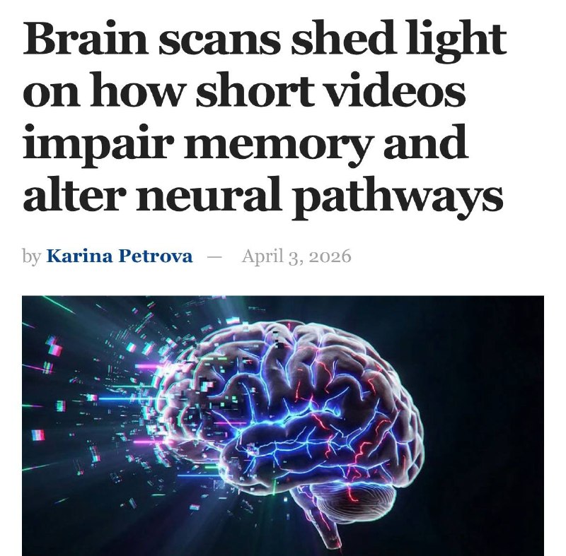 Короткие видео ухудшают память: результаты МРТ-исследований