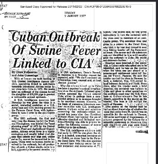ЦРУ завезло чуму свиней на Кубу: теория заговора