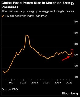 Рост мировых цен на продукты питания