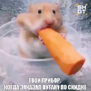 Проститутка с эпилепсией укусила клиента во время секса