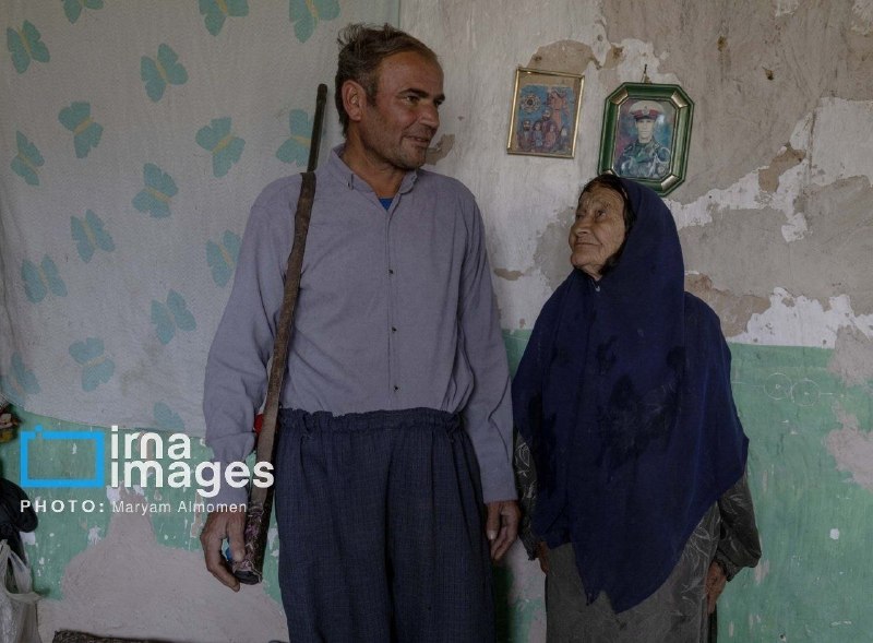 Иллюстрация 4