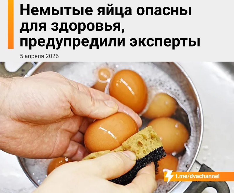 Немытые яйца опасны для здоровья: эксперты дали рекомендации