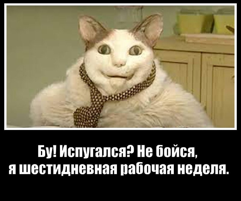 В России не обсуждают переход на шестидневную рабочую неделю — РСПП
