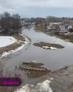 Иллюстрация 1