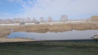 Новосибирский активист заявил о слежке за группой Либертарианской партии