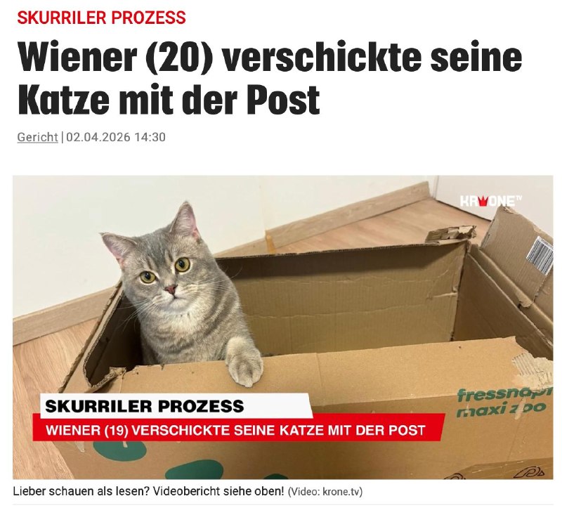 Австрийцу дали условный срок за отправку кошки в посылке