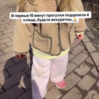 Ребенок подцепил 4 клещей в парке Москвы на фоне сообщений о мутантах в южных регионах