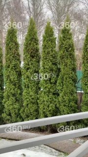 Град и ливень накрыли московский регион