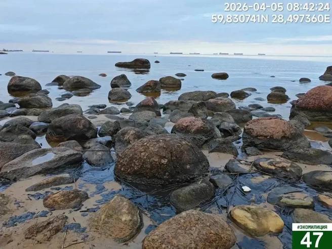 Утечка нефтепродуктов в Финском заливе после атаки БПЛА