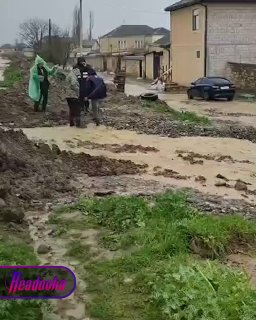 Иллюстрация 1