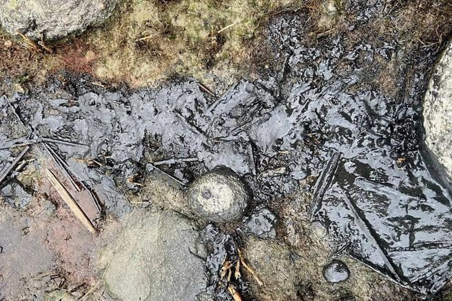 Иллюстрация 2