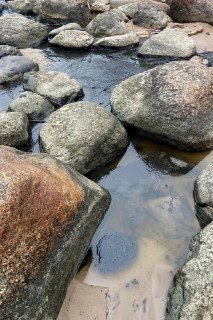 Иллюстрация 4