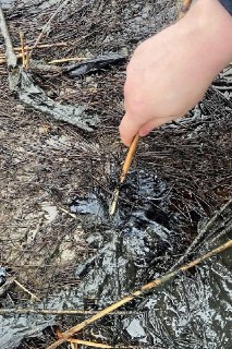 Иллюстрация 5