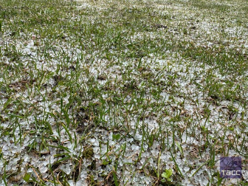 Иллюстрация 2