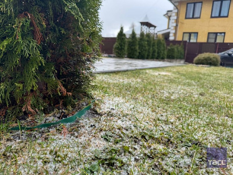 Иллюстрация 3