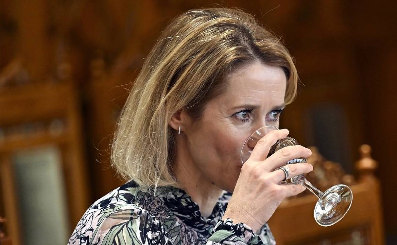 Ушаков предложил главе евродипломатии «выпить» после её слов о «нападении России на 19 стран»