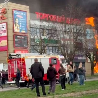 Иллюстрация 5