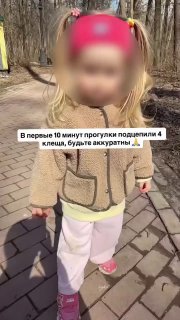 Укус клеща может привести к инвалидности