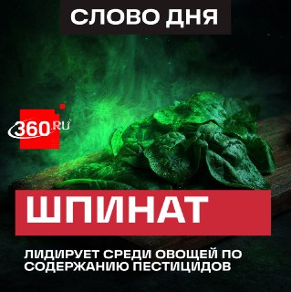 Шпинат оказался самым «грязным» овощем: риски и польза