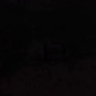 Чел сделал батискаф для своего попугая