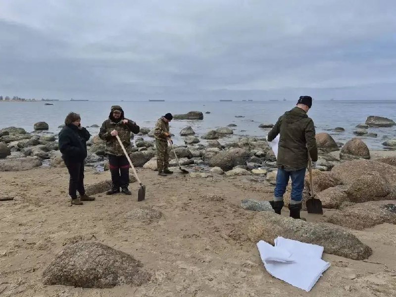 Иллюстрация 2