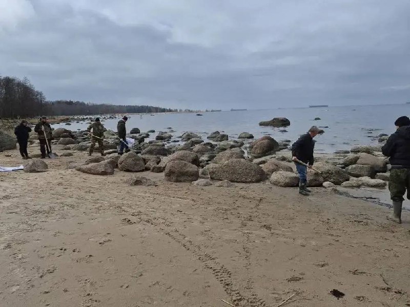 Иллюстрация 3