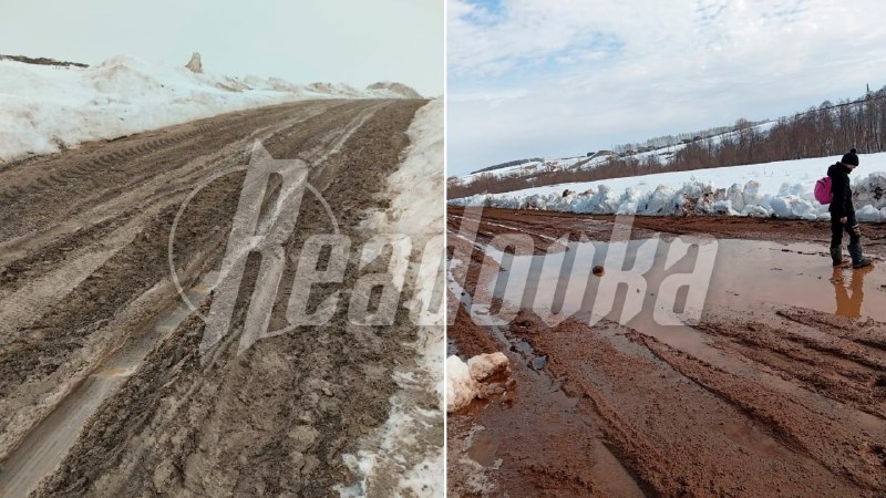 Иллюстрация 2