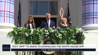 Трамп заявил о готовности к быстрой войне с Ираном и критике НАТО