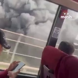 Иллюстрация 1