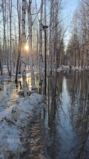 В Нижневартовске из-за плохого водоотвода на улице образовались «реки»
