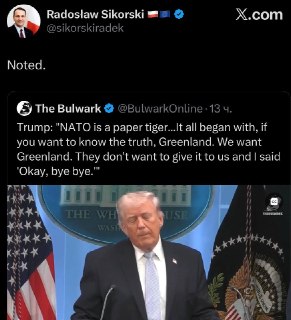 Глава МИД Польши отреагировал на критику Трампа в адрес НАТО