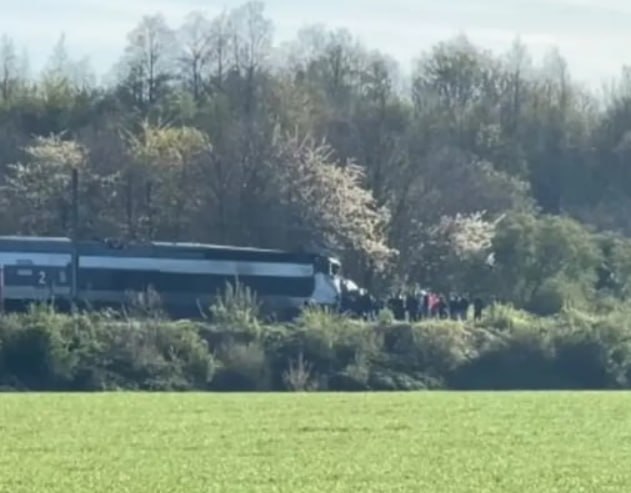 Иллюстрация 1