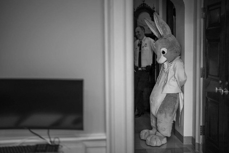 Пасхальный кролик и Ашер в Белом доме