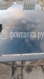 На Фонтанке заметили пятна, похожие на мазут