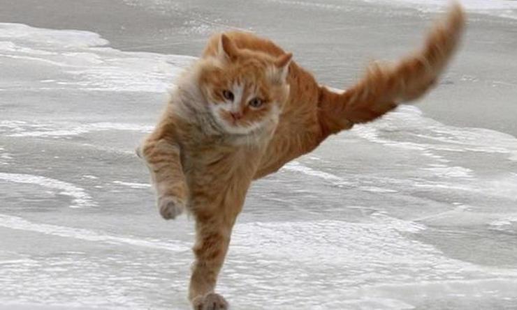 Погода ухудшится в Петербурге: гололедица и ветер до 18 м/с