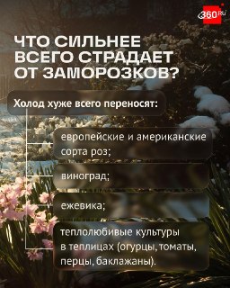 Иллюстрация 2