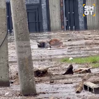 Иллюстрация 3