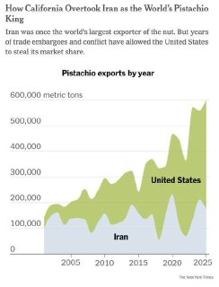 Фисташки — всё: США и Израиль уничтожили иранскую промышленность, цены пойдут вверх