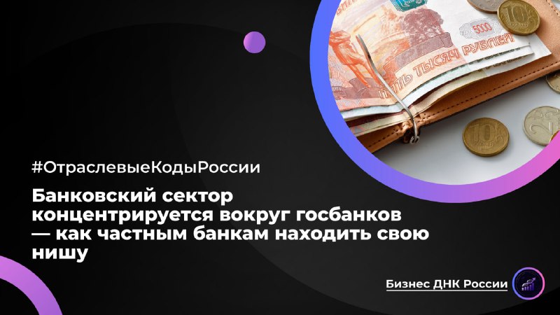 Банковский сектор концентрируется вокруг госбанков — как частным банкам находить свою нишу